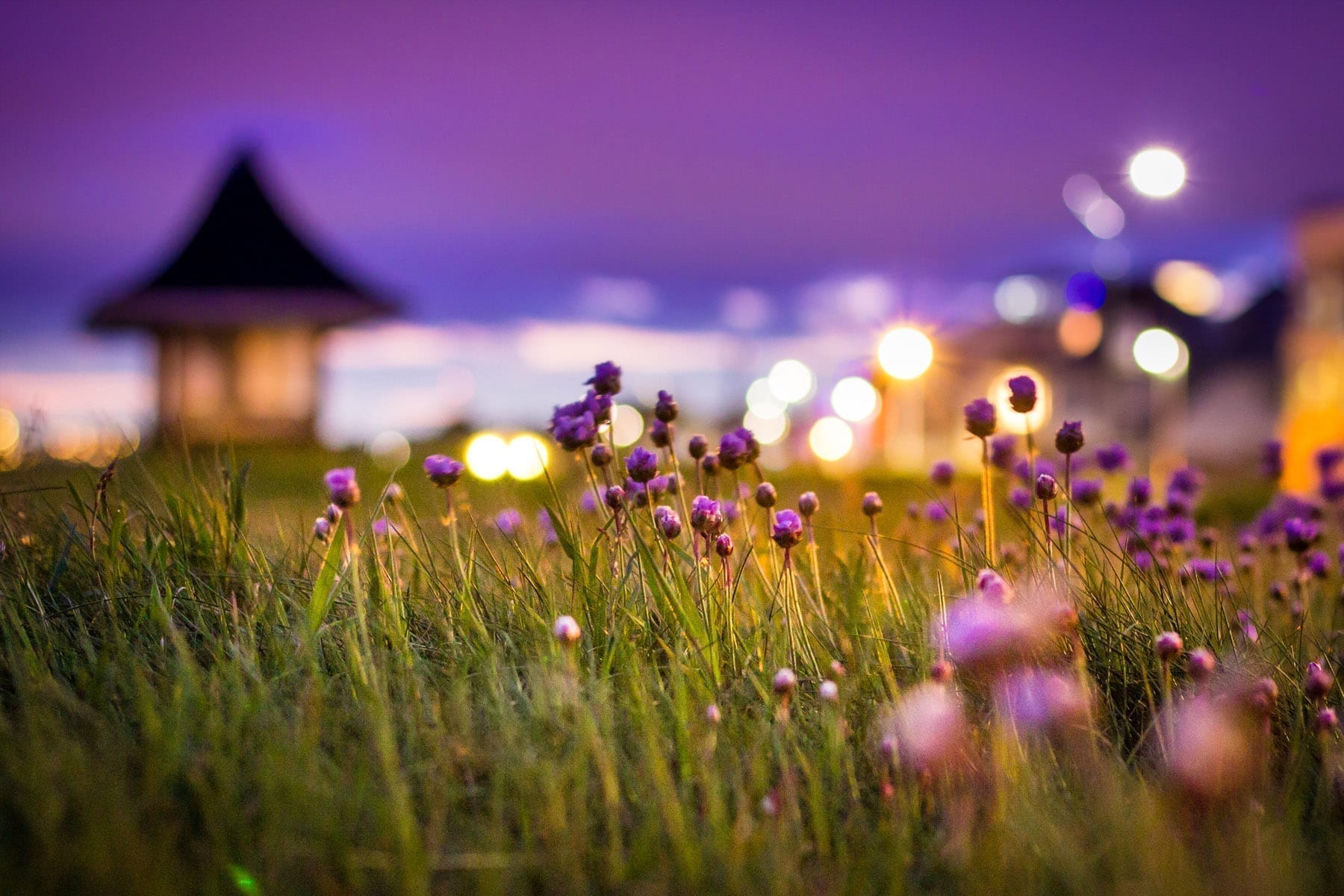 Family Philanthropy: Creating a Lasting Giving Tradition